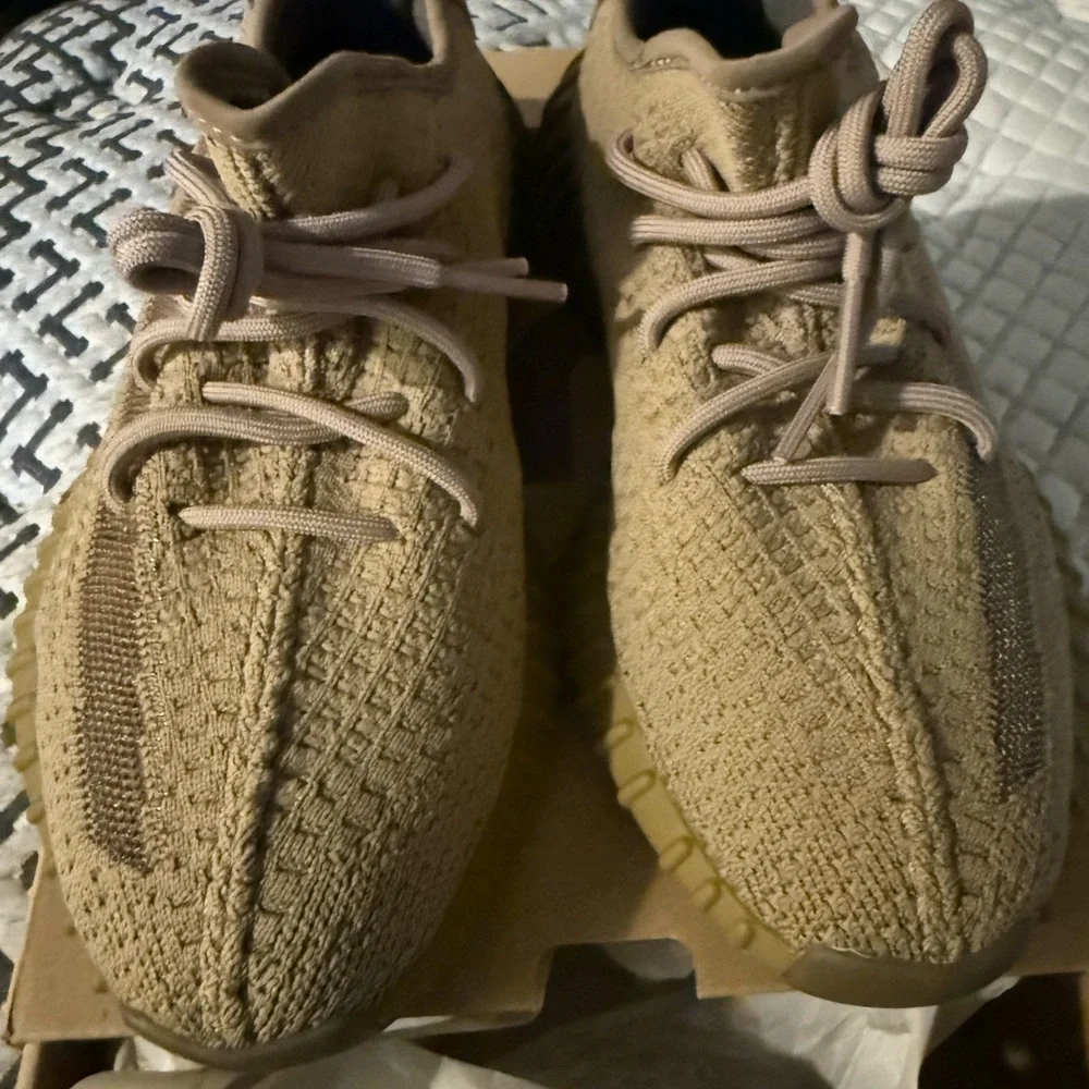 Adidas Yeezy Boost 350 V2 Earth - Picture 3 of 4